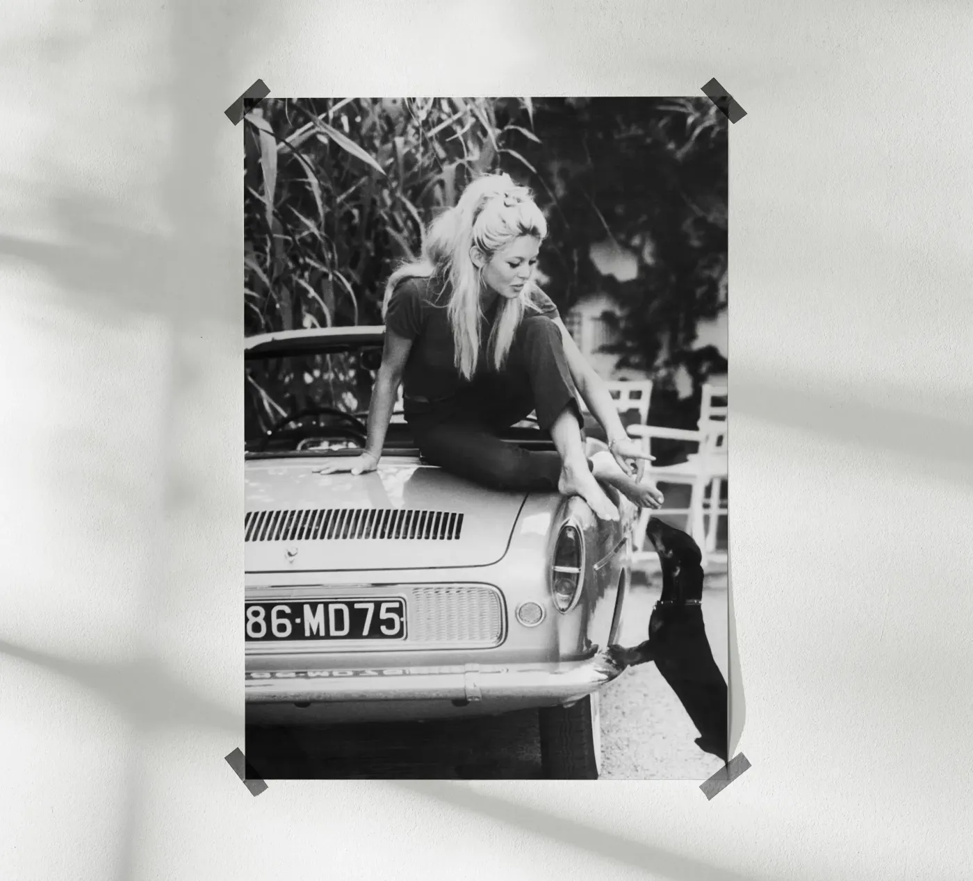 Brigitte Bardot poster da vintgeseyn
