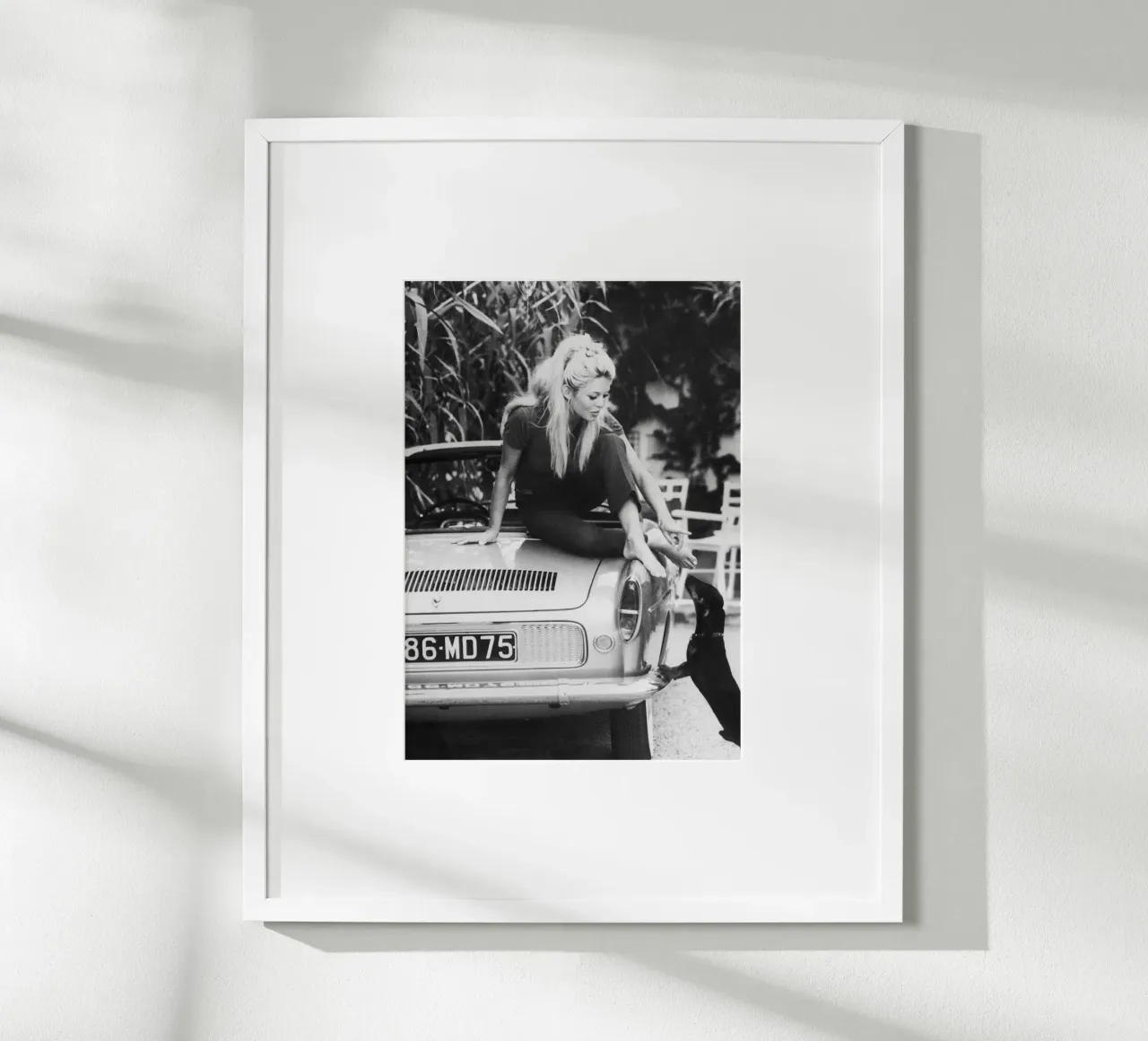 Brigitte Bardot poster da vintgeseyn