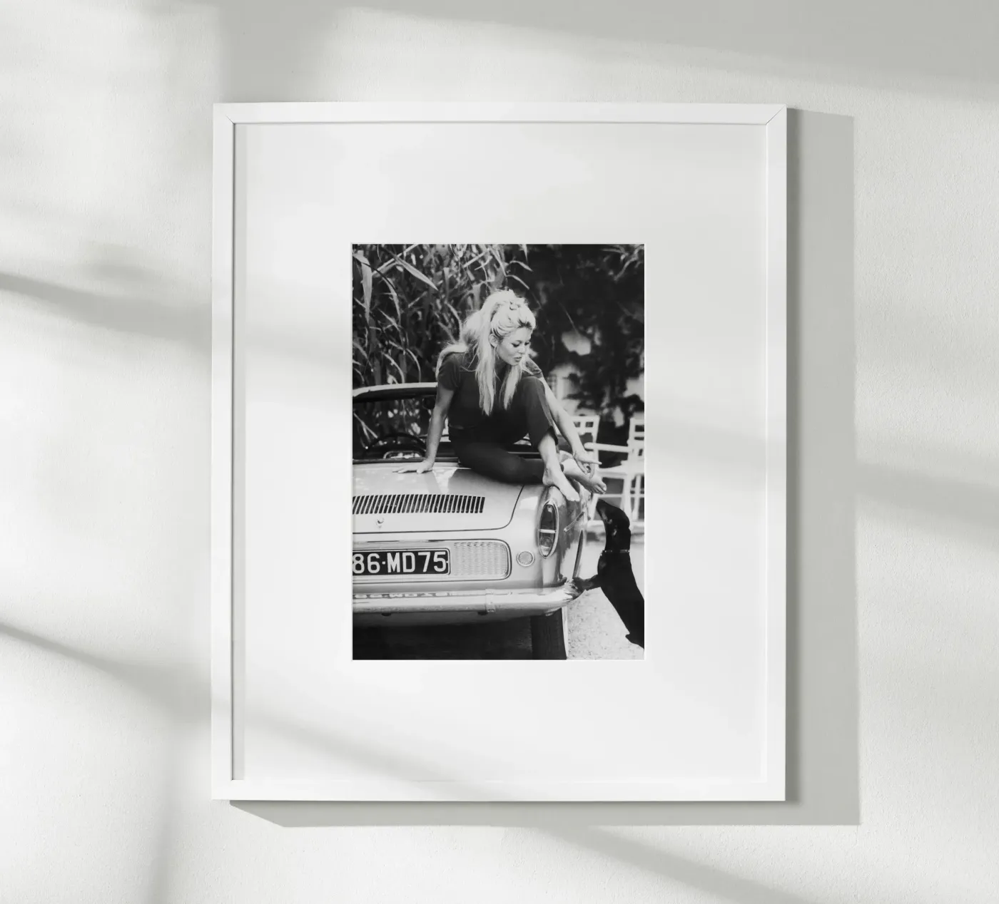 Brigitte Bardot poster da vintgeseyn