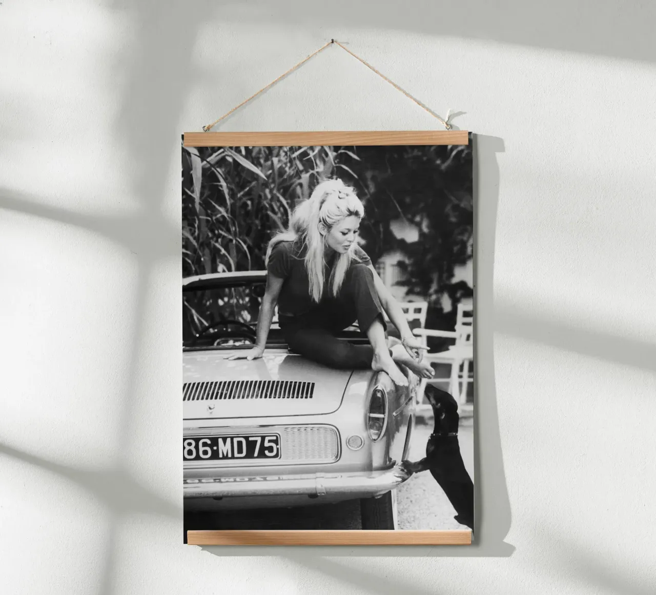 Brigitte Bardot poster da vintgeseyn
