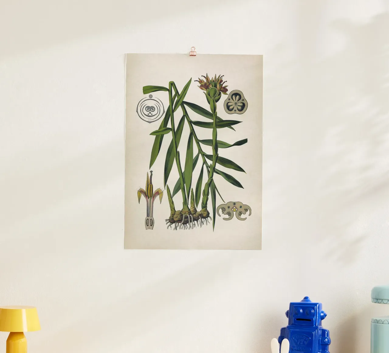 Vintage Bollmann 5 Ingwer poster con telaio in plastica da Vintage Print Collection