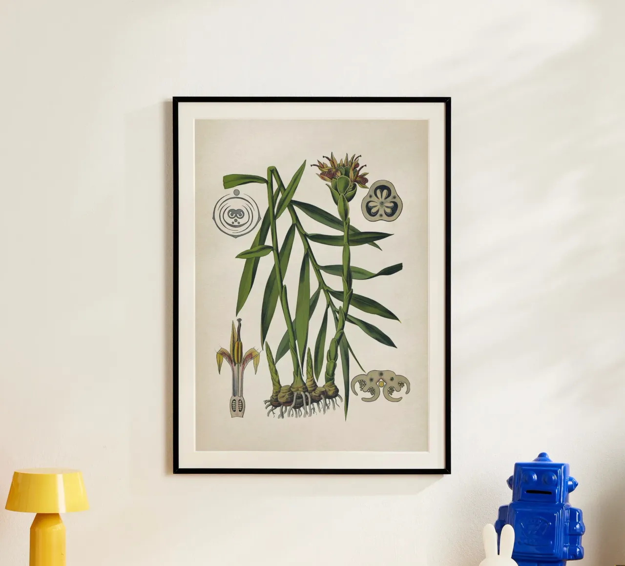 Vintage Bollmann 5 Ingwer poster con telaio in plastica da Vintage Print Collection