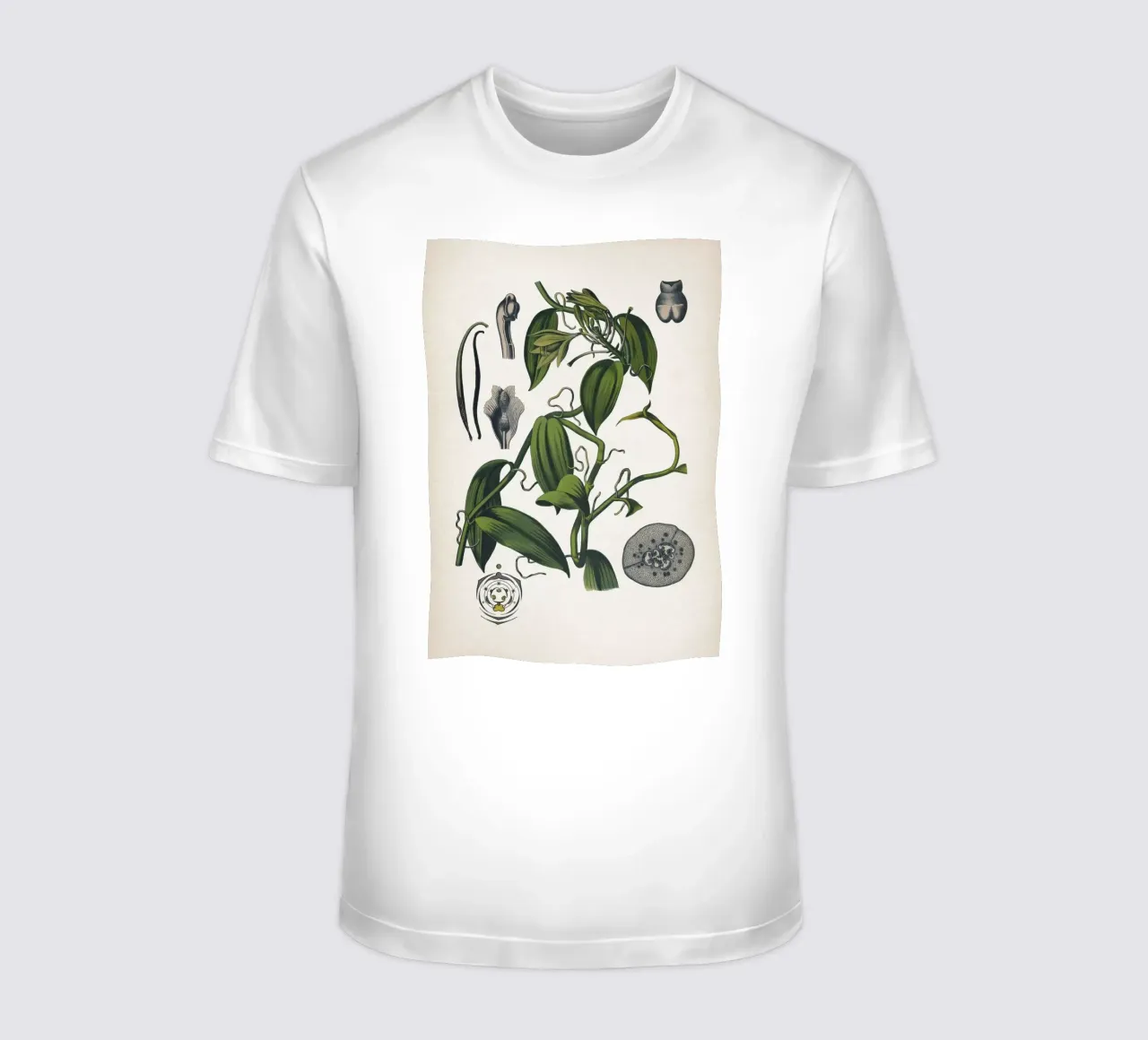 Vintage Bollmann 5 Vanille t-shirt da Vintage Print Collection