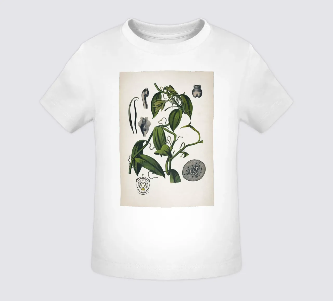 Vintage Bollmann 5 Vanille maglietta neonato da Vintage Print Collection