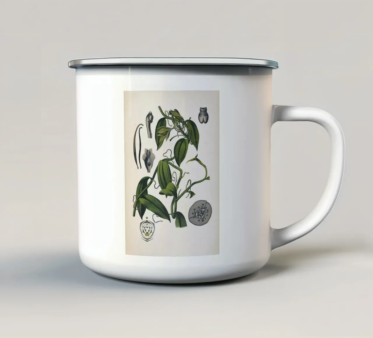 Vintage Bollmann 5 Vanille tazza in smalto da Vintage Print Collection