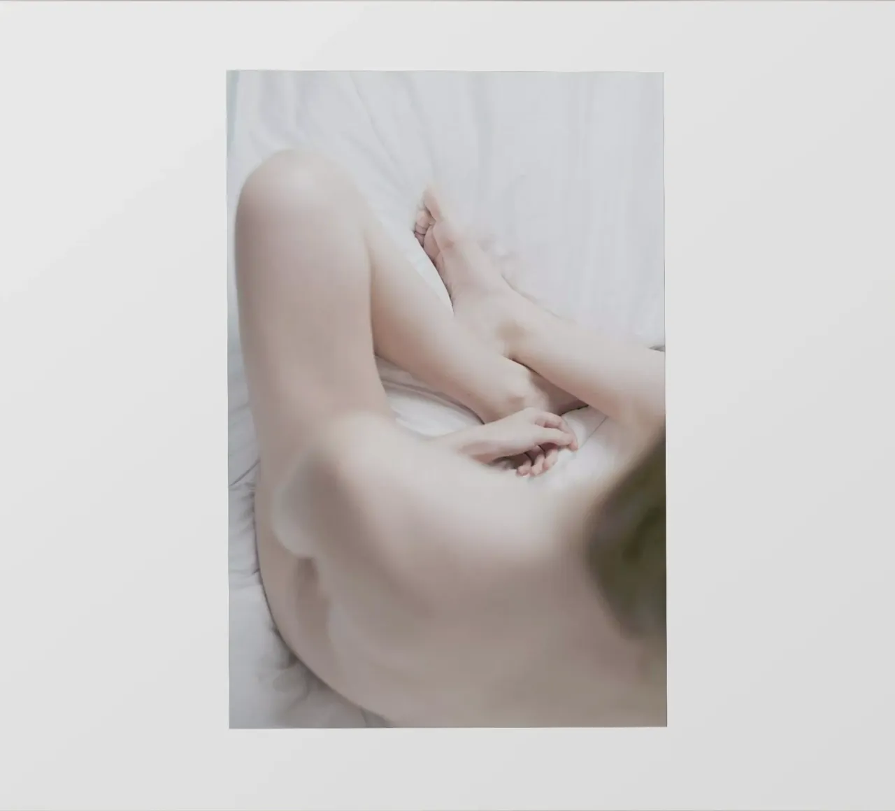 The Silkmoth 7 telo in pvc da Paul Aidan Perry