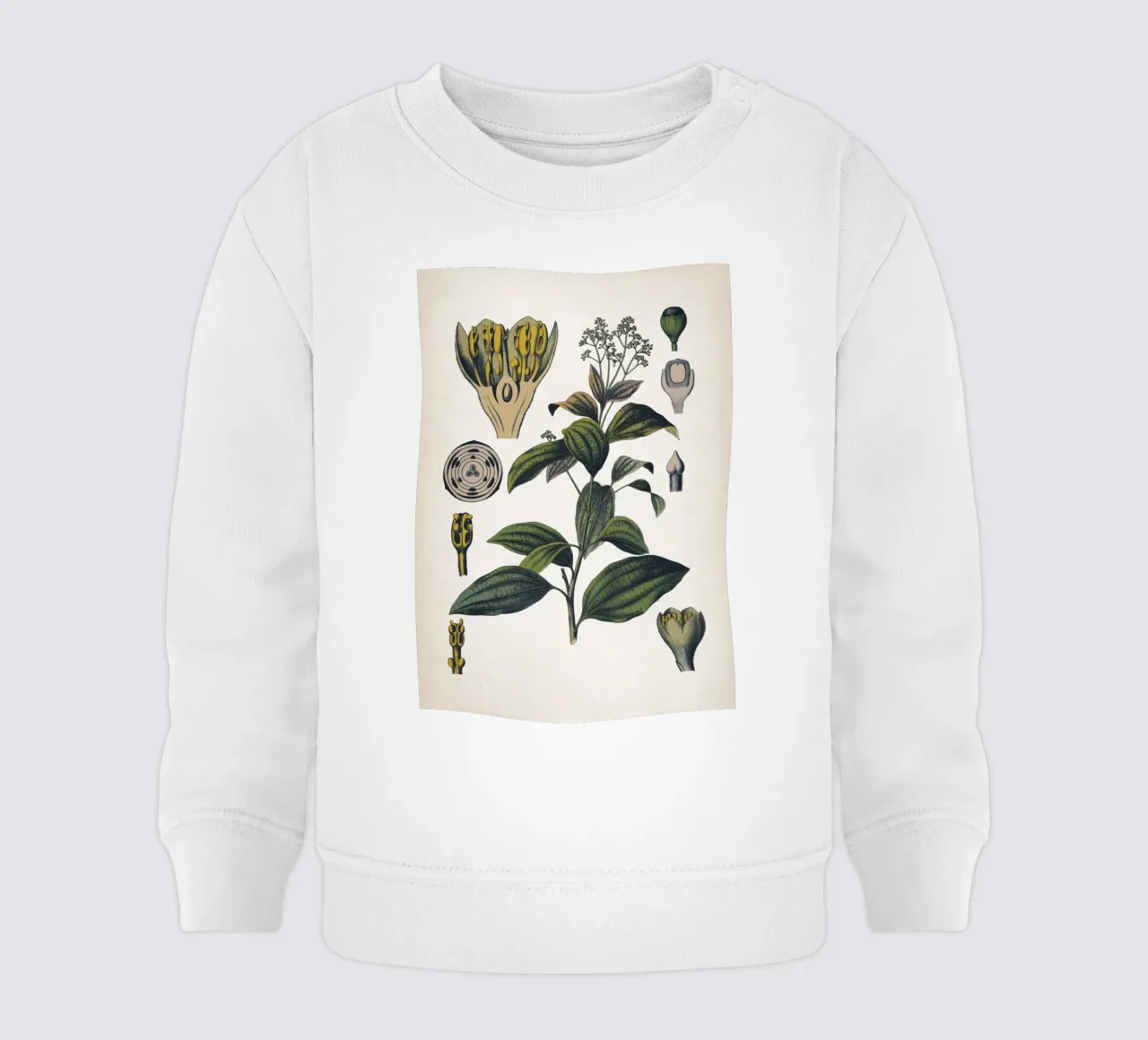 Vintage Bollmann 5 Zimtbaum felpa neonato da Vintage Print Collection