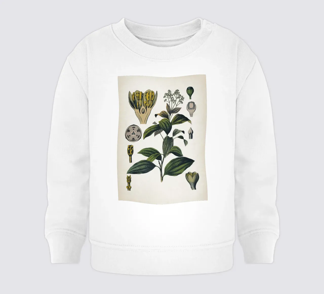 Vintage Bollmann 5 Zimtbaum felpa neonato da Vintage Print Collection