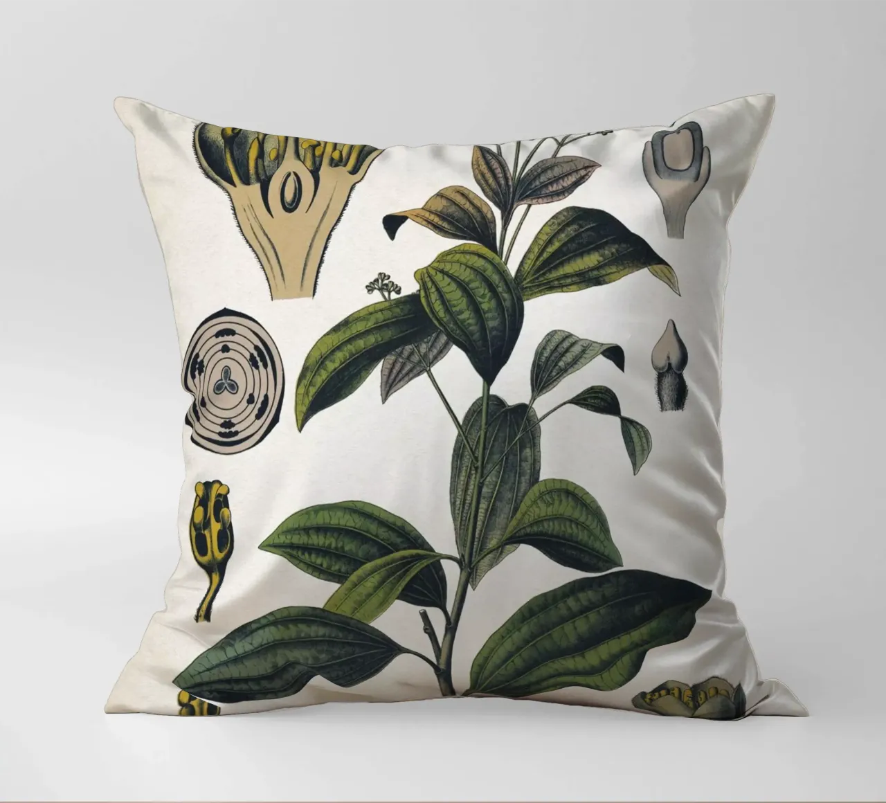 Vintage Bollmann 5 Zimtbaum cuscino da Vintage Print Collection