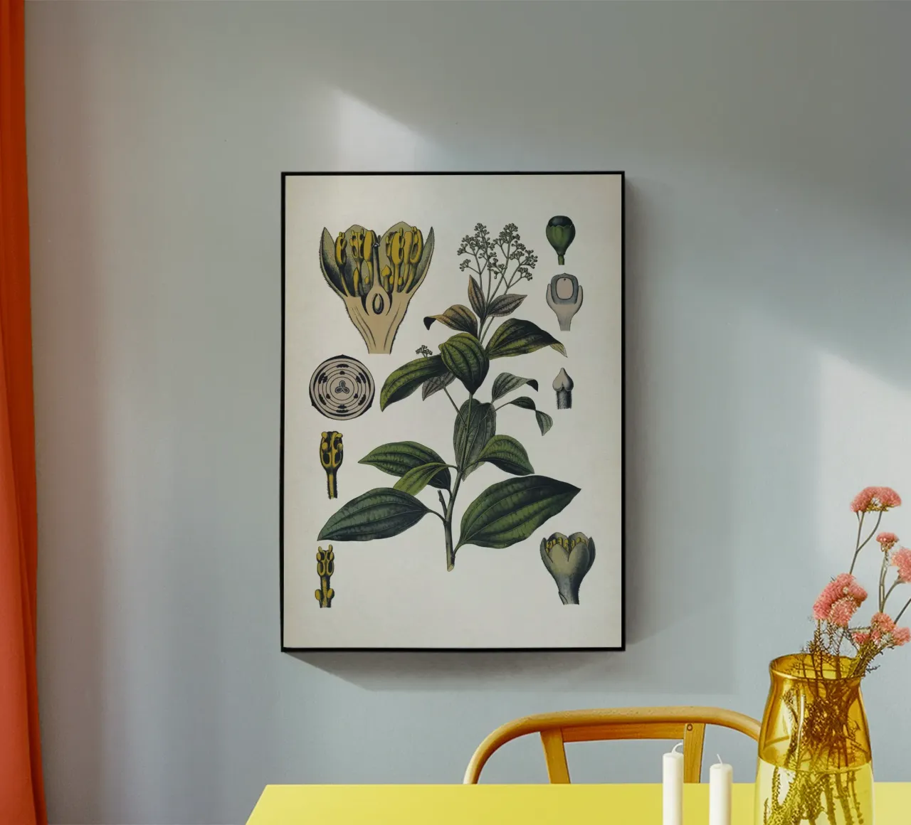 Vintage Bollmann 5 Zimtbaum plexiglass da Vintage Print Collection