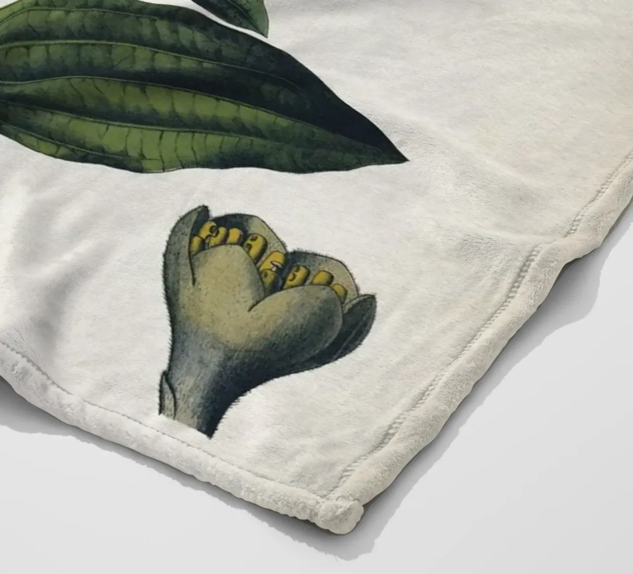 Vintage Bollmann 5 Zimtbaum coperta in pile da Vintage Print Collection