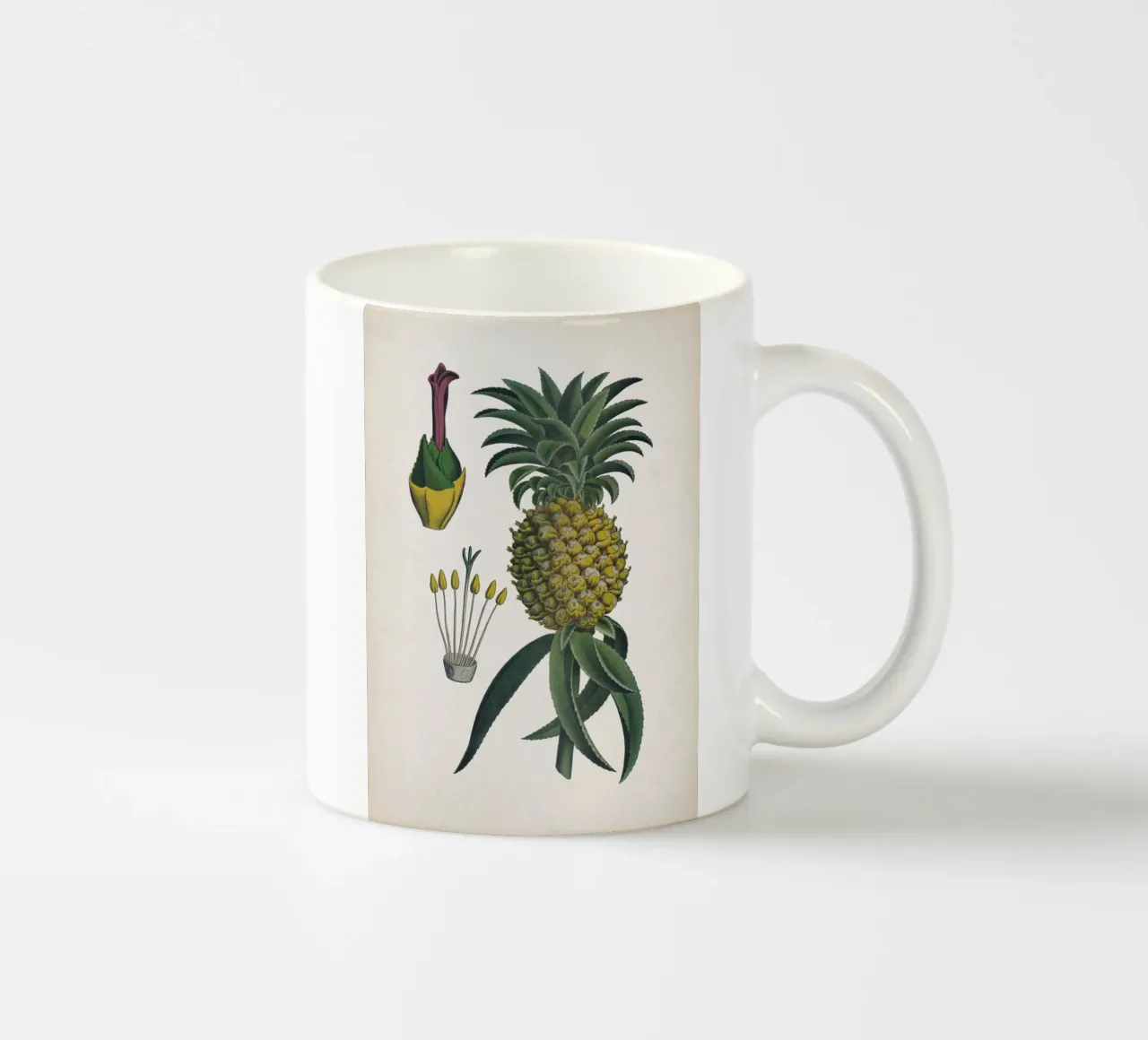Vintage Bollmann 6 Ananas ceramic mug by Vintage Print Collection