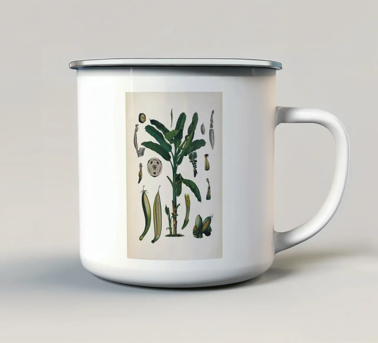 Vintage Bollmann 6 Gemeine Banane tazza in smalto da Vintage Print Collection