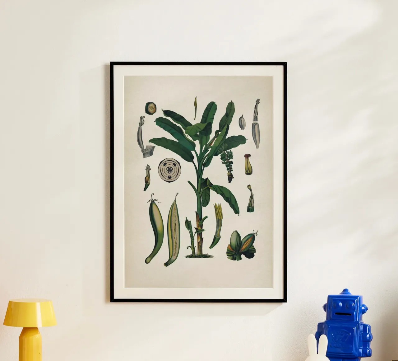 Vintage Bollmann 6 Gemeine Banane poster con telaio in alluminio da Vintage Print Collection