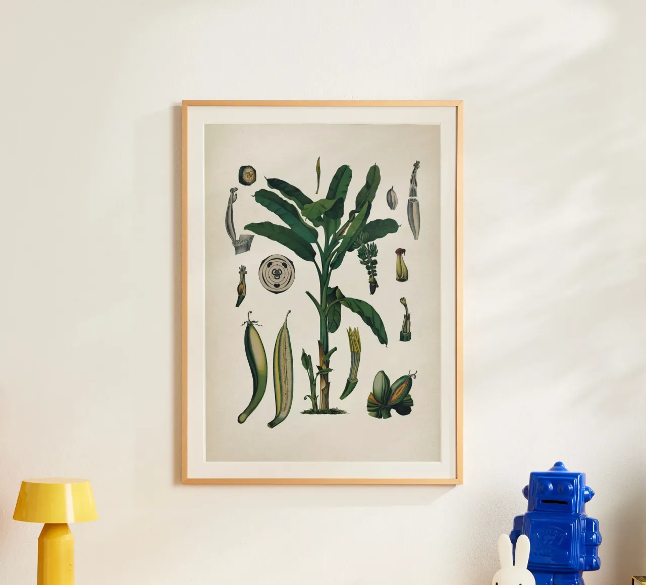 Vintage Bollmann 6 Gemeine Banane poster con telaio in alluminio da Vintage Print Collection