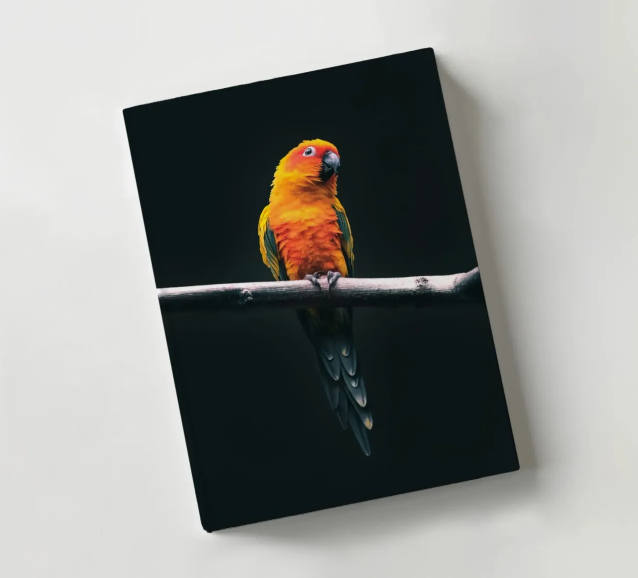 Sun Conure on a Branch notebook by Nature's Palette