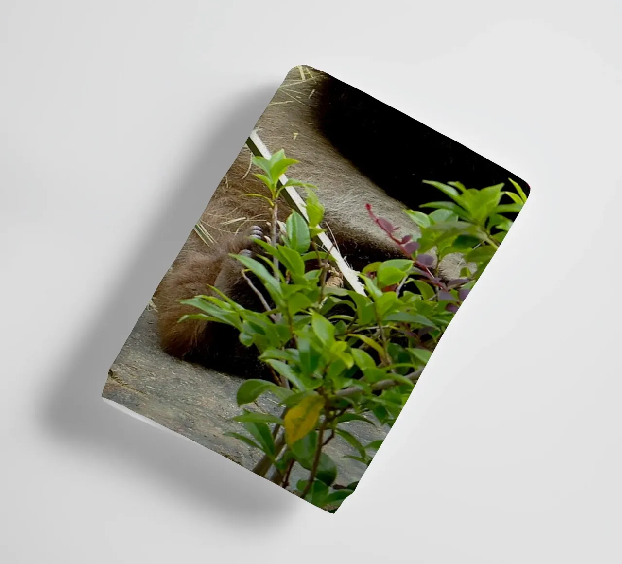 Panda's Zoet Feest badhanddoek van Nature's Palette