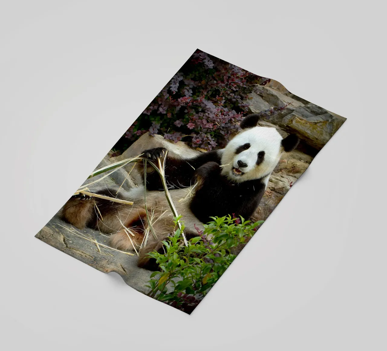 Panda's Zoet Feest strandhanddoek van Nature's Palette