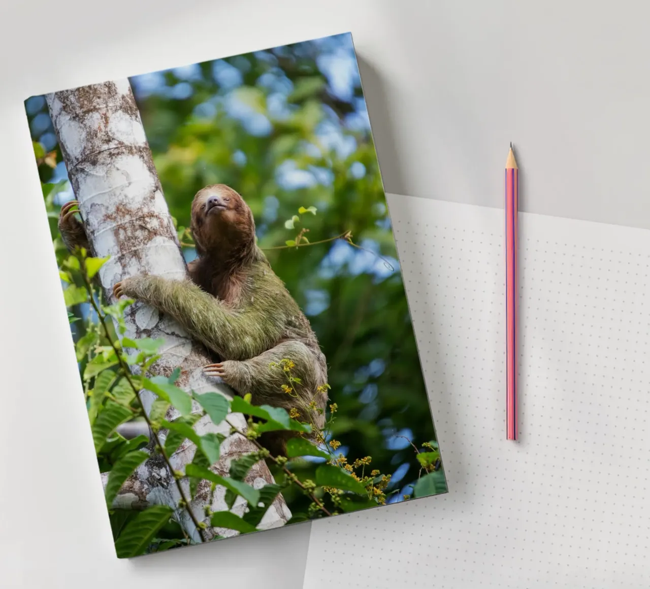 Lazy Embrace notebook by Nature's Palette