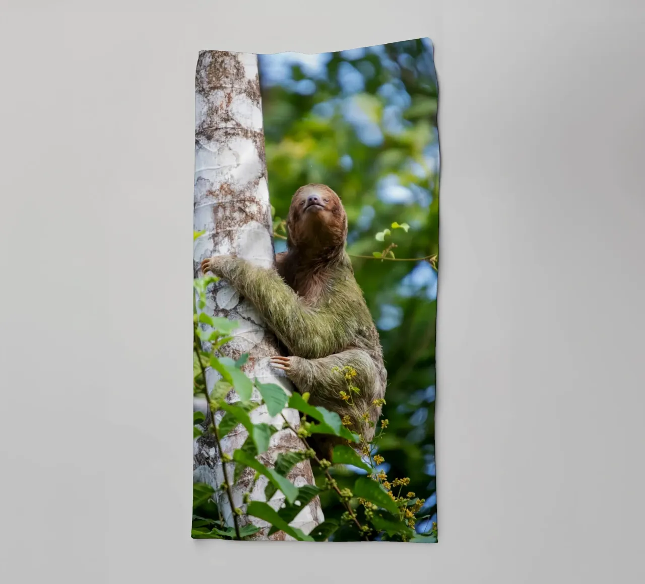 Lazy Embrace towel by Nature's Palette