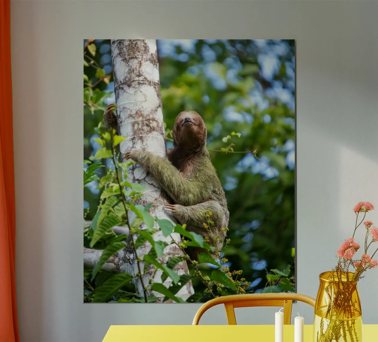 Abbraccio pigro poster da Nature's Palette