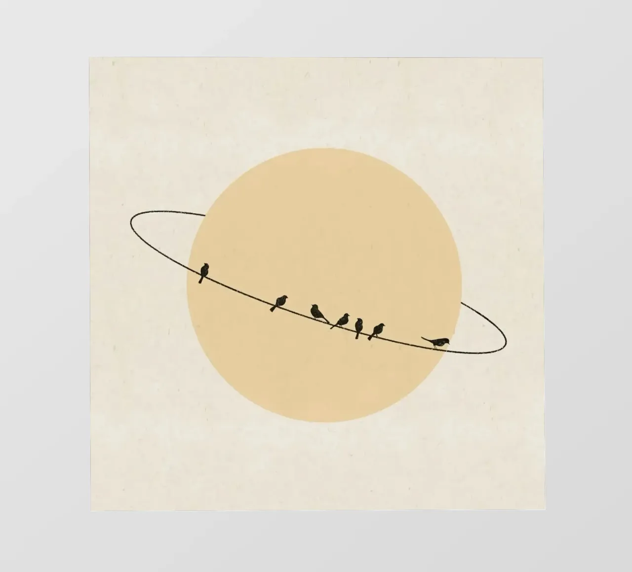 The birds circle telo in pvc da mip of map