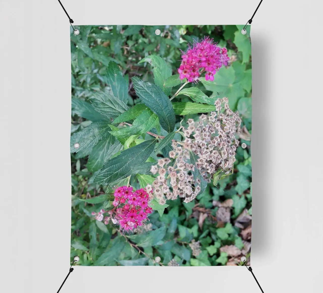 Spirea giapponese telo in pvc da Gürsel Yesil Digital Art