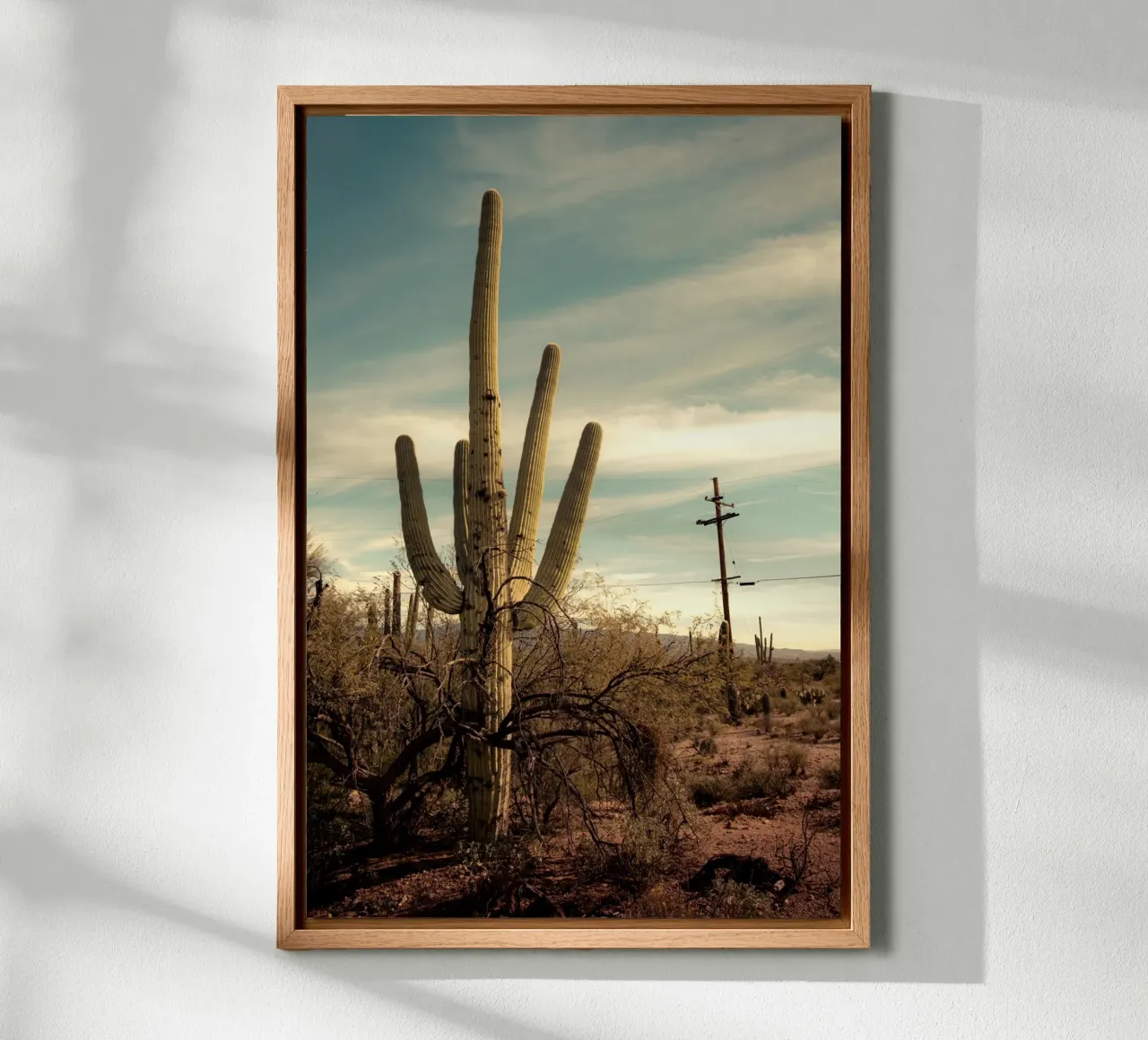 Saguaro cactus in the Arizona desert canvas with Floater frame by Finch & Frames