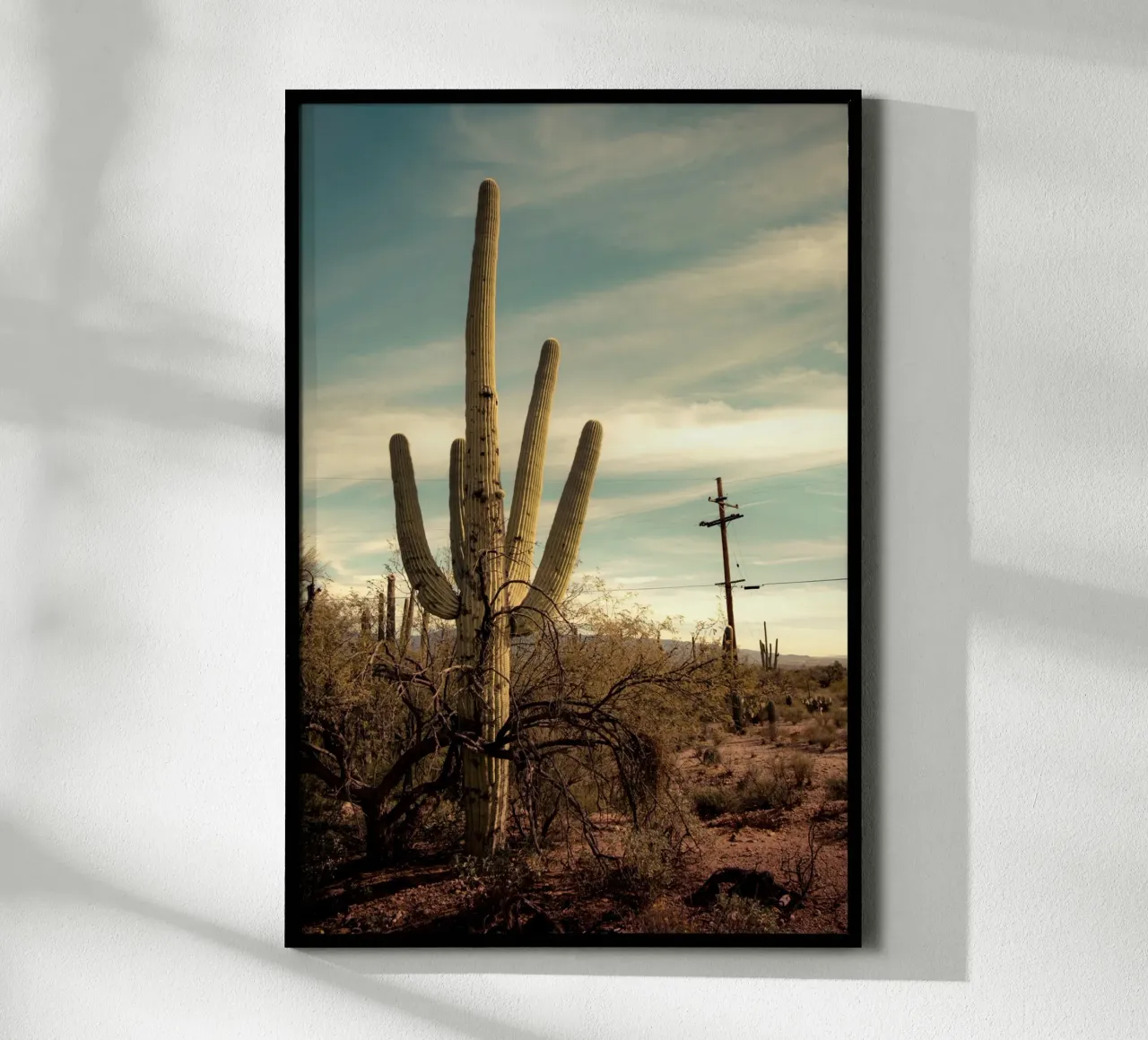 Cactus Saguaro nel deserto dell'Arizona poster con telaio in legno da Finch & Frames