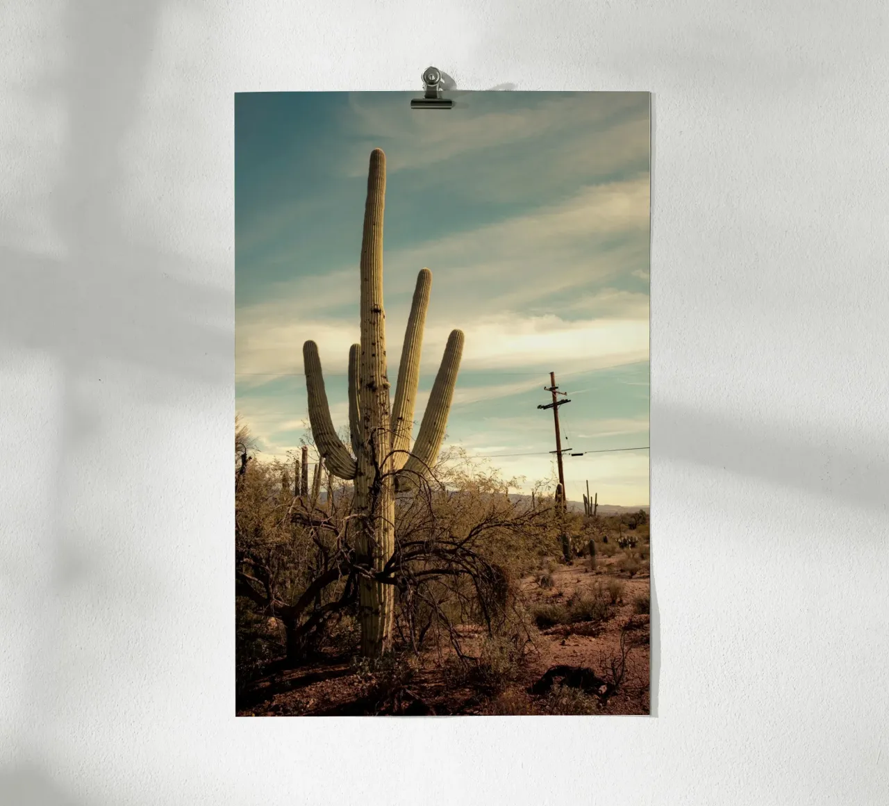 Cactus Saguaro nel deserto dell'Arizona poster con telaio in legno da Finch & Frames