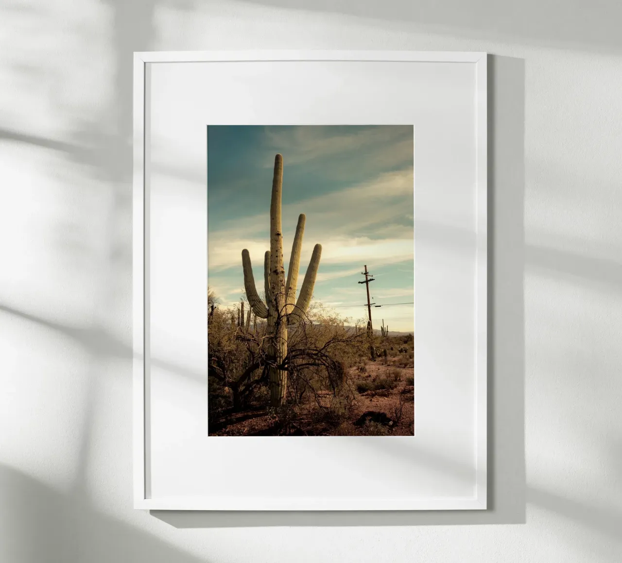 Cactus Saguaro nel deserto dell'Arizona poster con telaio in legno da Finch & Frames