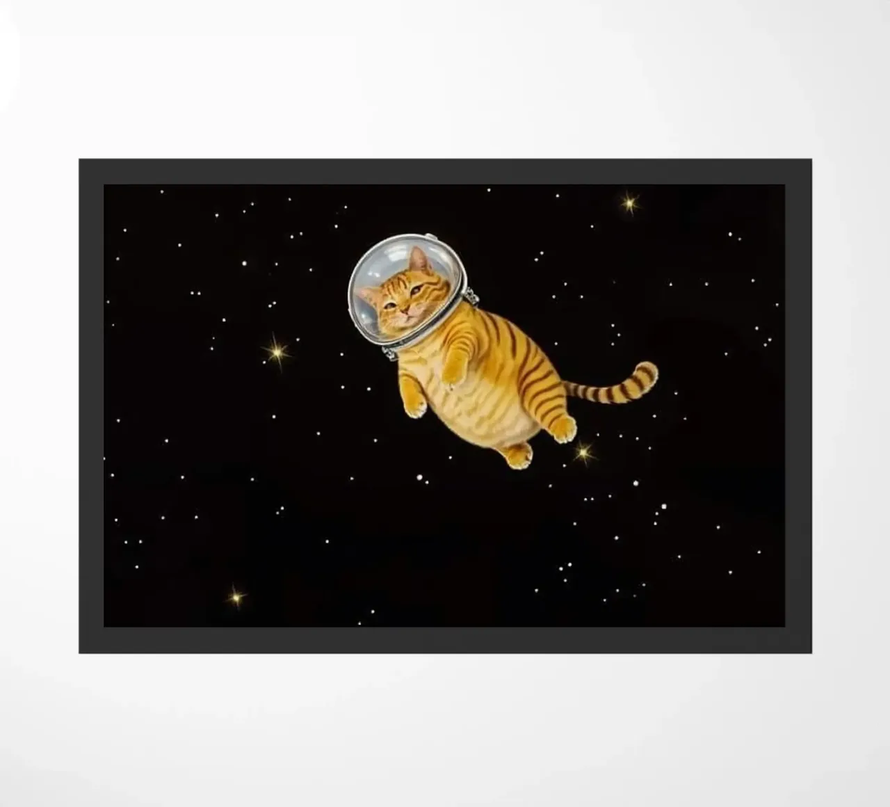 space cat zerbino da Good days
