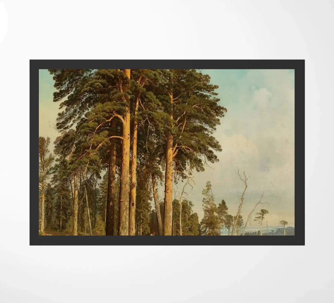tall tree forest zerbino da carsa