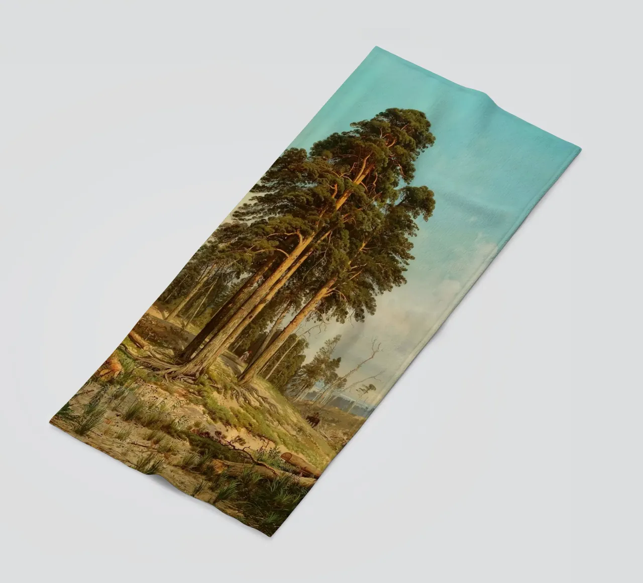 tall tree forest telo mare da carsa