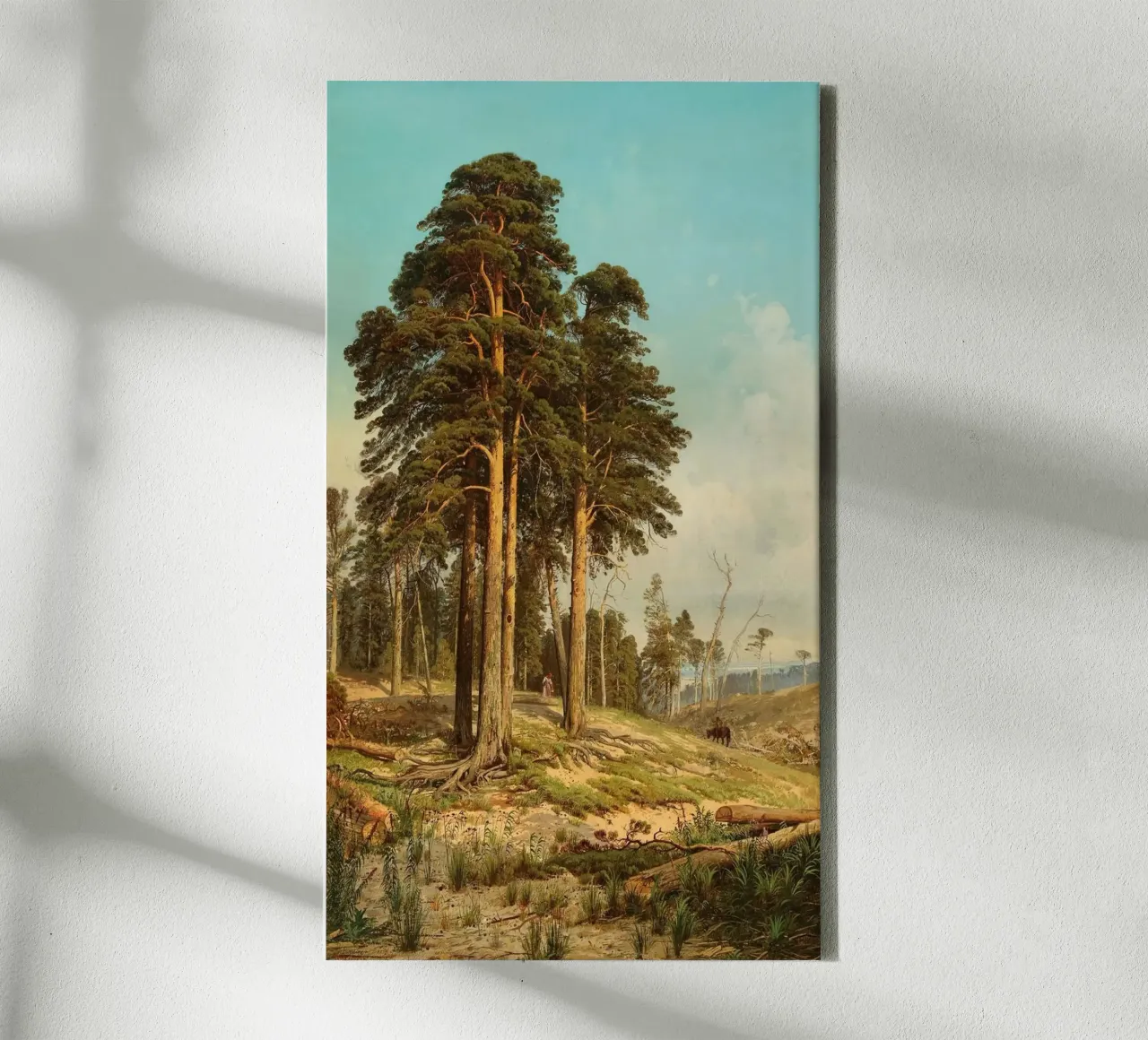 tall tree forest tela con Cornice a cassetta da carsa