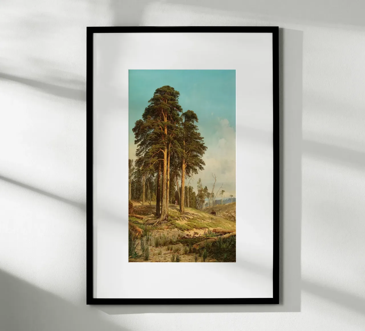 tall tree forest poster da carsa