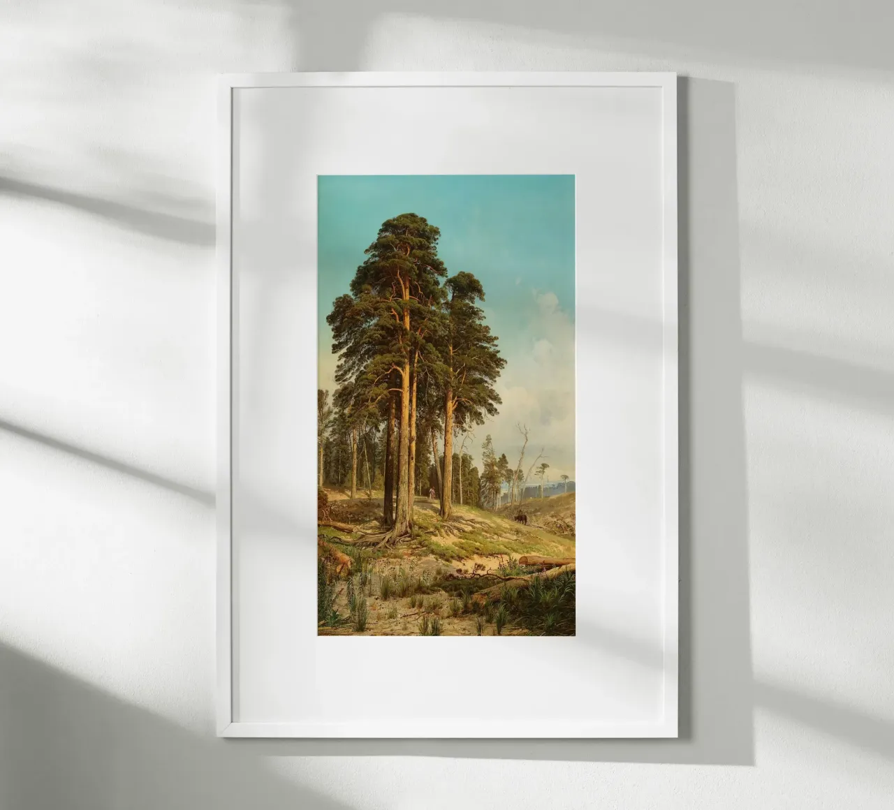 tall tree forest poster da carsa