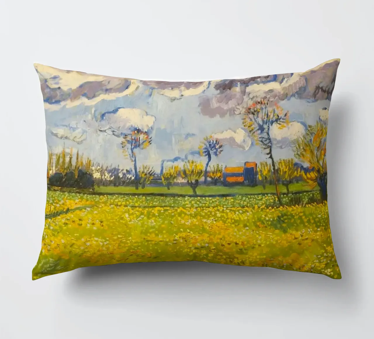 field with cloudy sun cuscino da melts