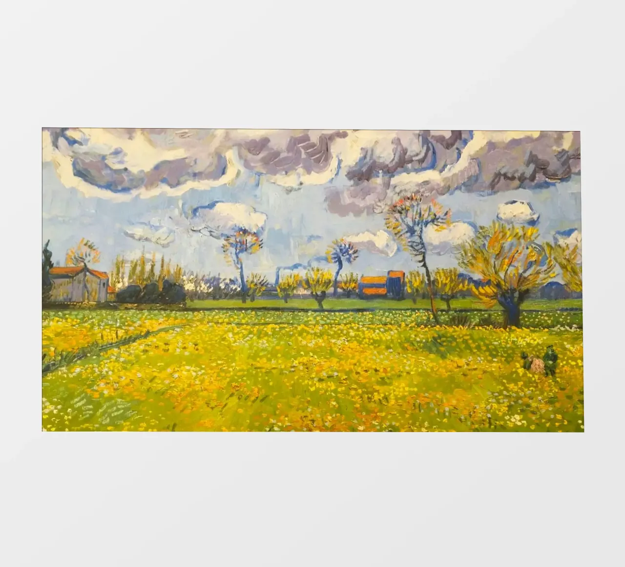 field with cloudy sun pellicola backlit da melts