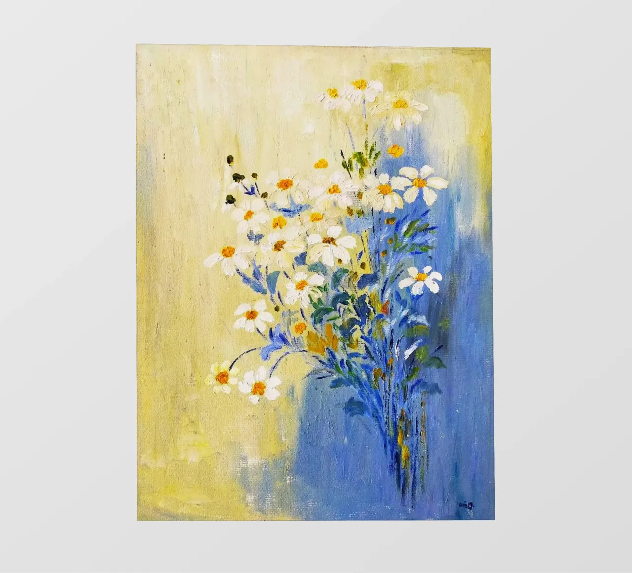 flower and color on wall pellicola backlit da melts