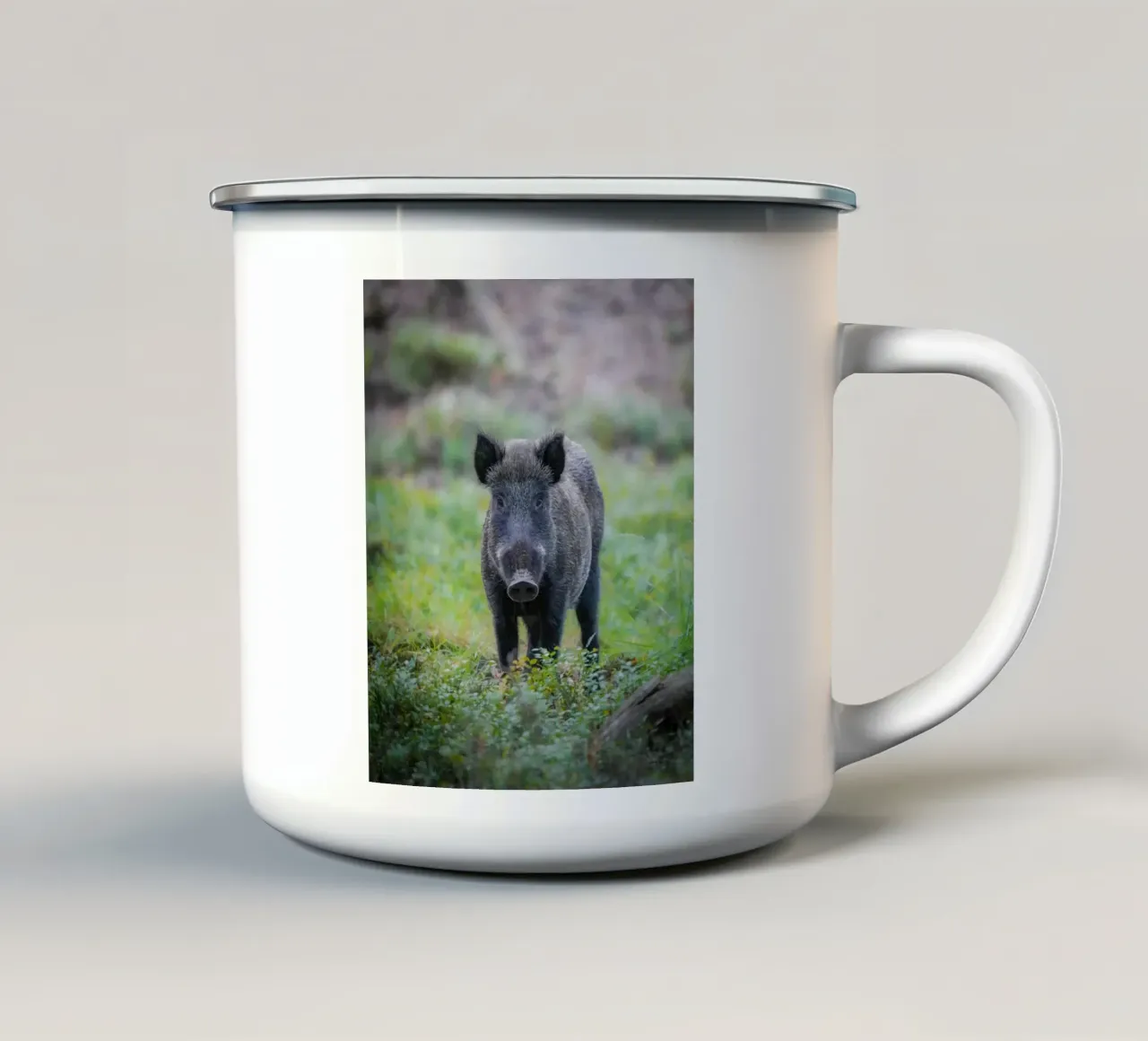 Cinghiale nella foresta tazza in smalto da Tom's Wildlife