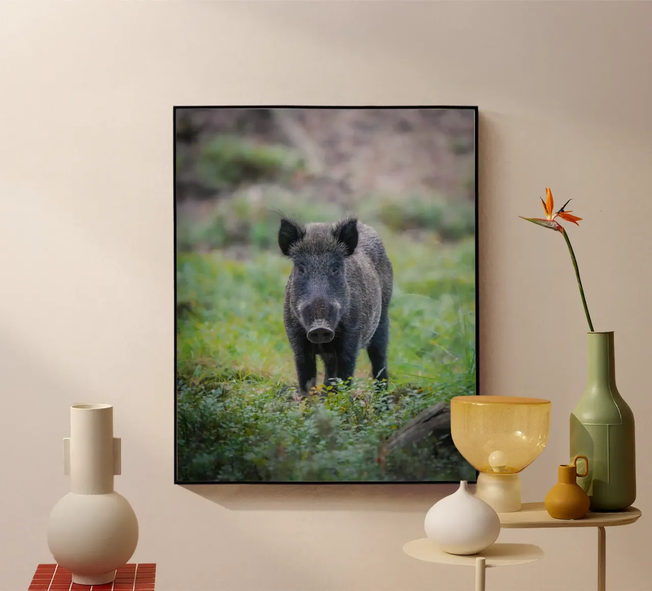 Cinghiale nella foresta plexiglass da Tom's Wildlife