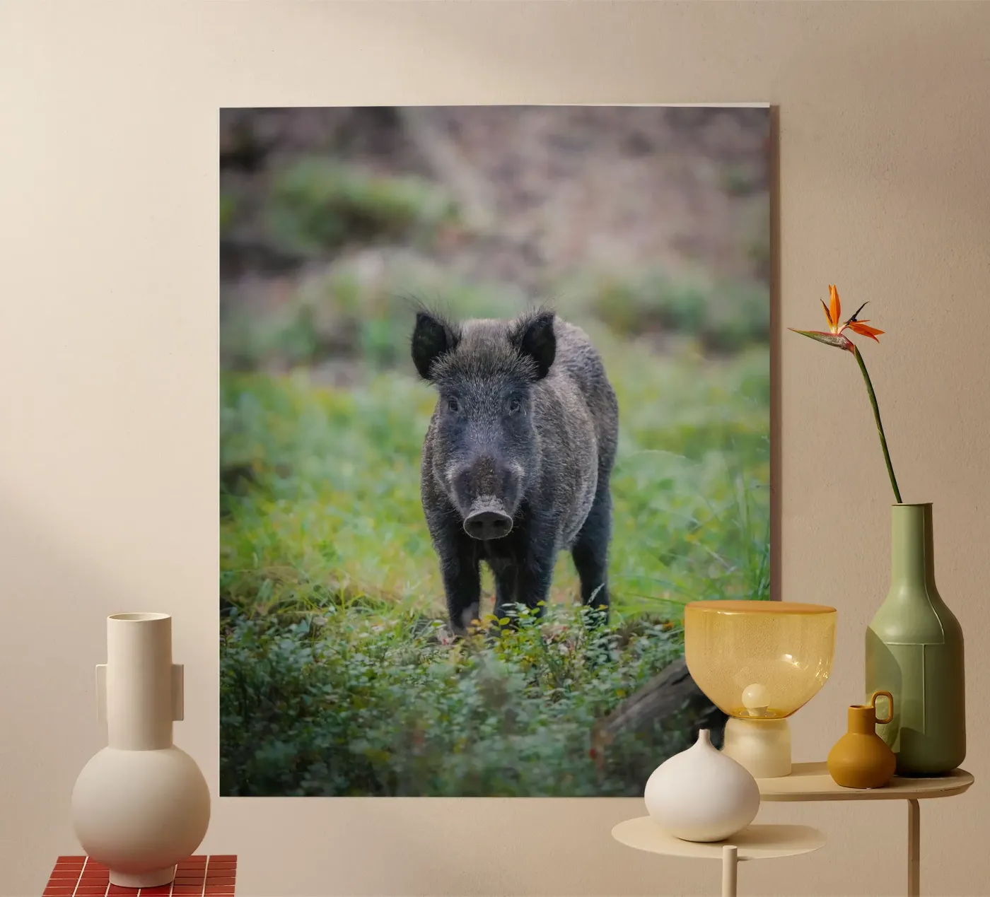 Cinghiale nella foresta plexiglass da Tom's Wildlife