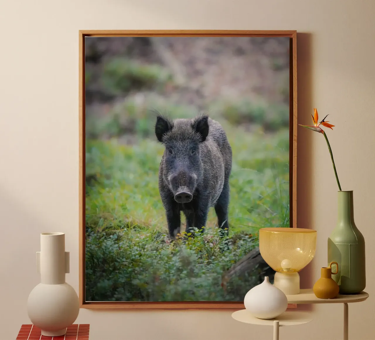 Cinghiale nella foresta tela con Cornice a cassetta da Tom's Wildlife
