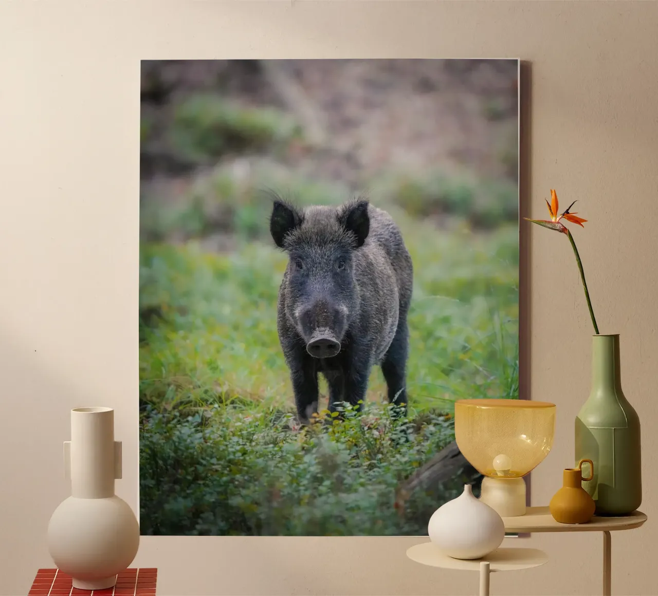 Cinghiale nella foresta tela con Cornice a cassetta da Tom's Wildlife