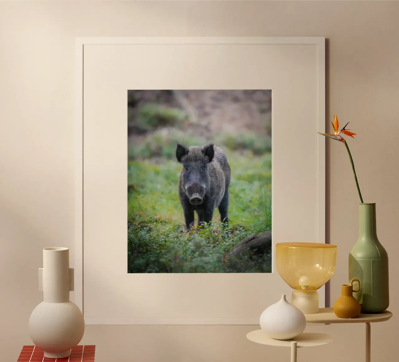 Cinghiale nella foresta poster da Tom's Wildlife