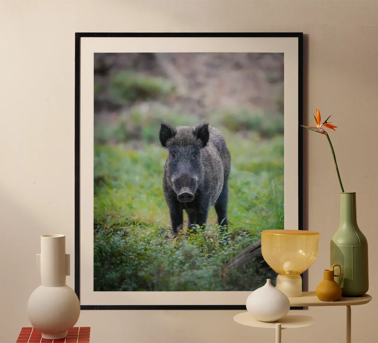 Cinghiale nella foresta poster da Tom's Wildlife