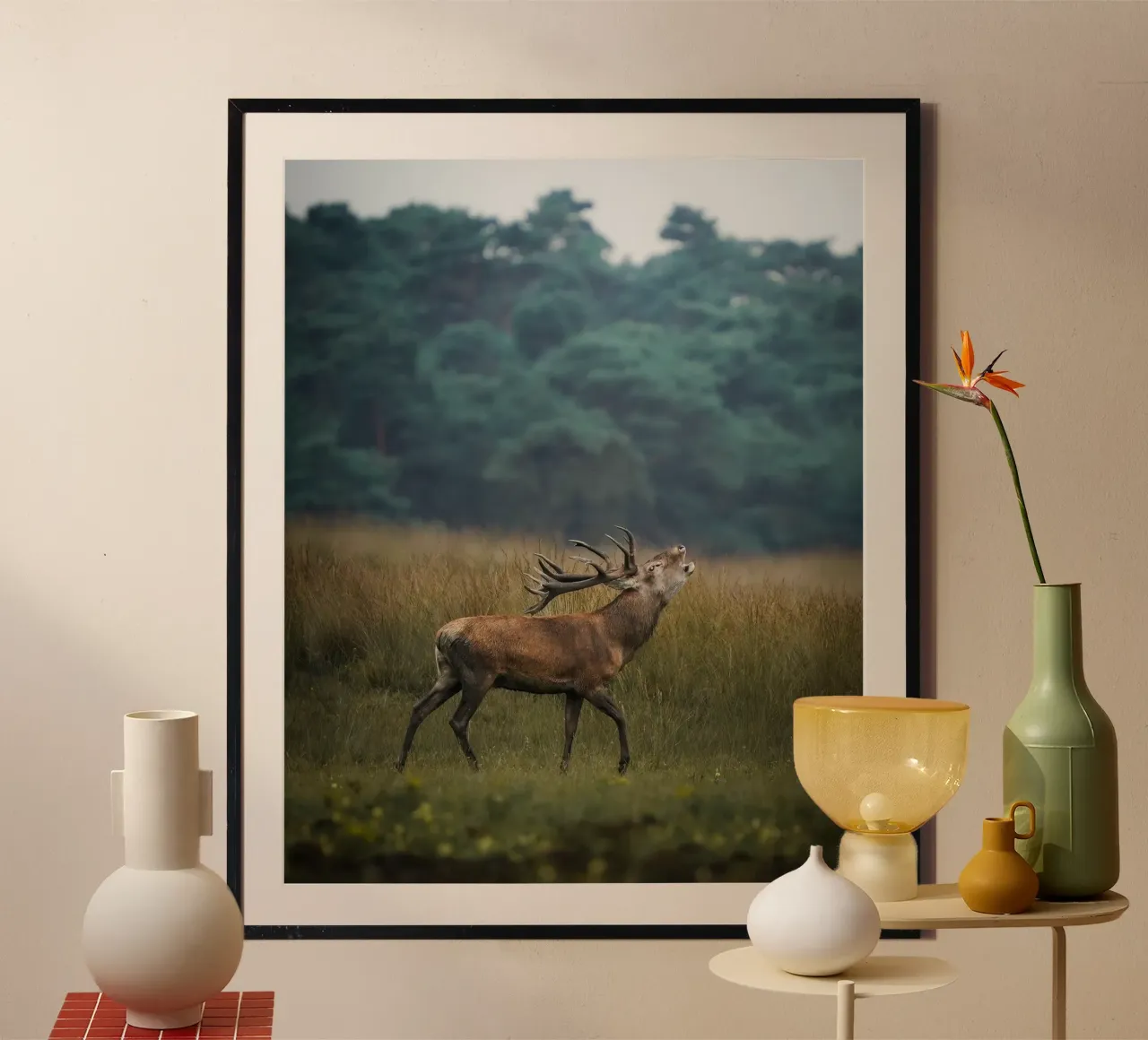 Stagione dell'accoppiamento del cervo rosso poster da Tom's Wildlife