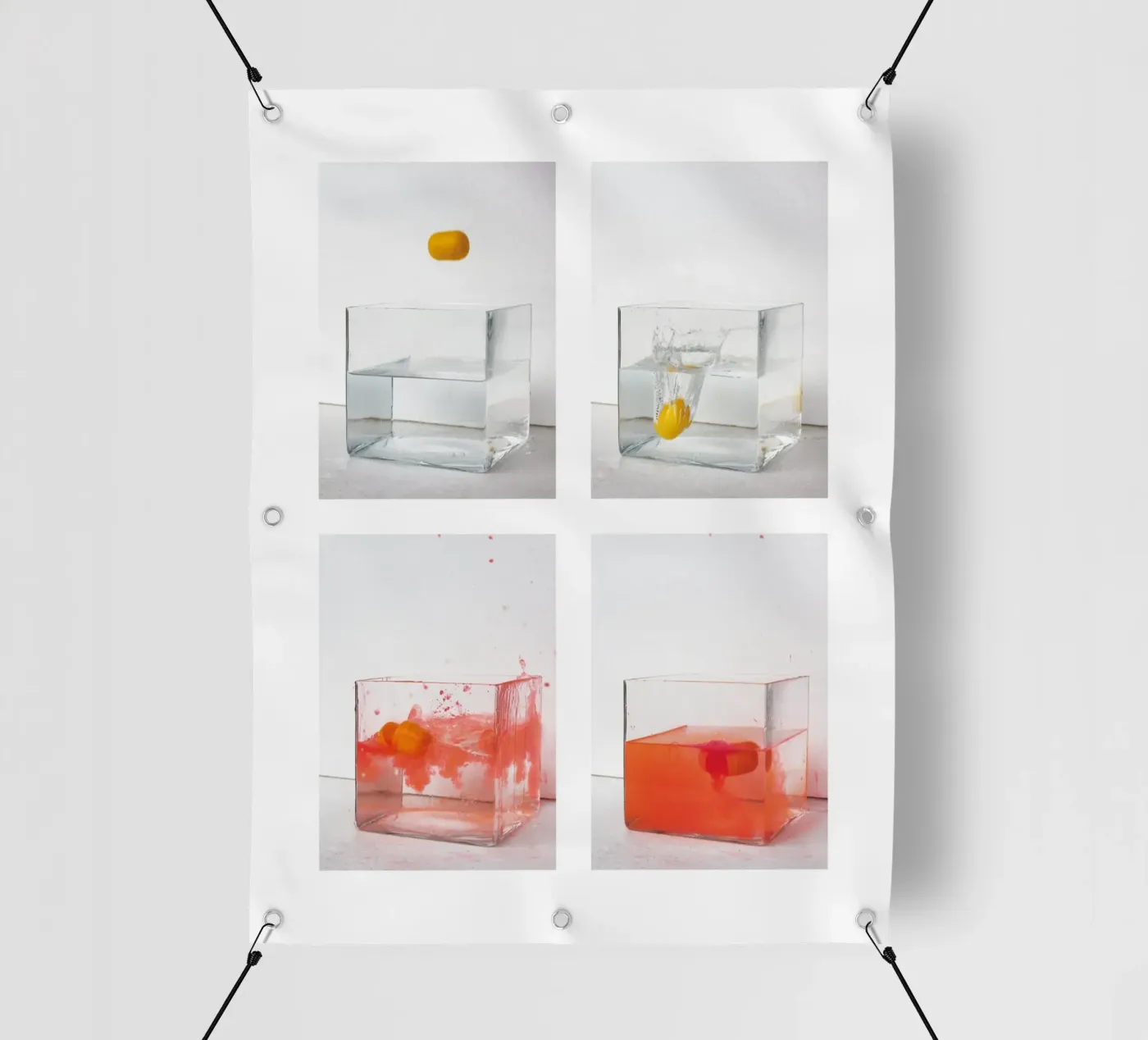 Capturing a Motion Sequence pvc cover by kathrinmay
