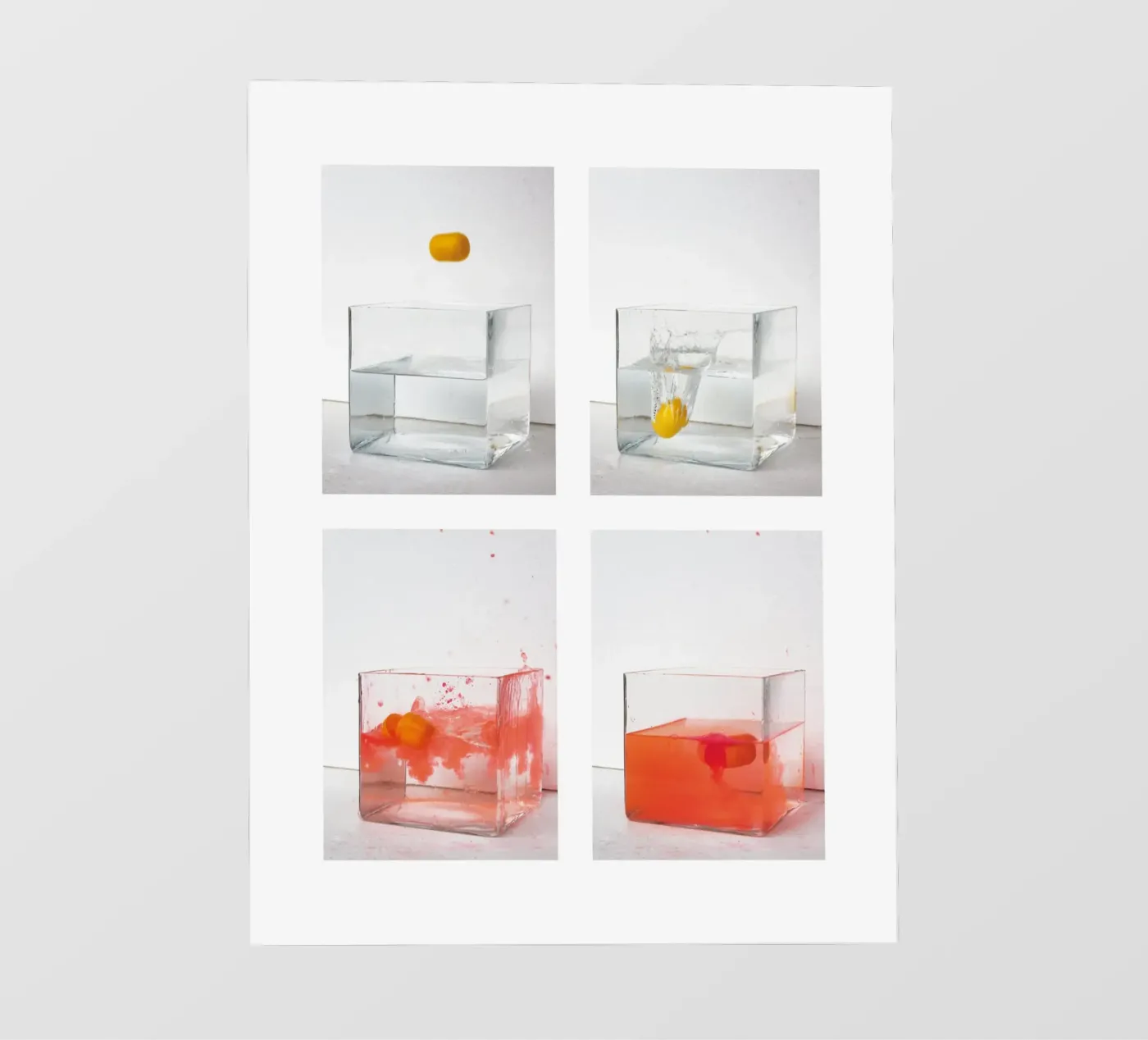 Capturing a Motion Sequence pvc cover by kathrinmay